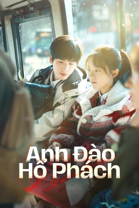 Anh Đào Hổ Phách 2025