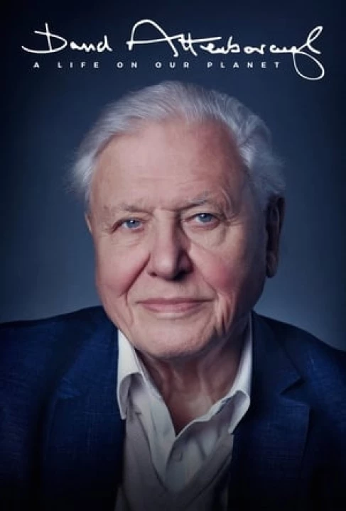 Phim David Attenborough: Một Cuộc Đời Trên Trái Đất 2020 David Attenborough: Một Cuộc Đời Trên Trái Đất 2020