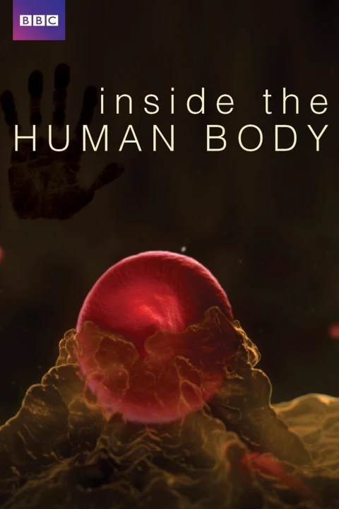 Phim Inside the Human Body 2011 Inside the Human Body 2011