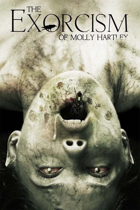 Phim Nỗi Ám Ảnh Của Molly 2015 Nỗi Ám Ảnh Của Molly 2015