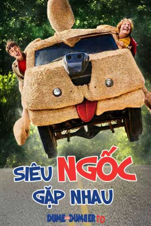 Phim Siêu Ngốc Gặp Nhau 2014 Siêu Ngốc Gặp Nhau 2014